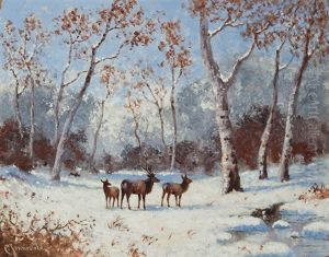 Deer Roaming In Winter Deer Roaming In Winter