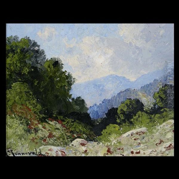 Landscape - view 1