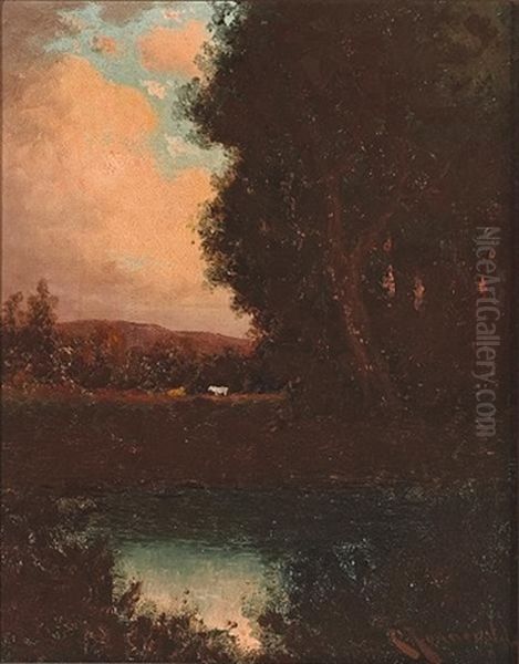 Sunset Pond With Cattle Resting Beyond - view 1