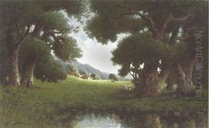 Among The Oaks Among The Oaks