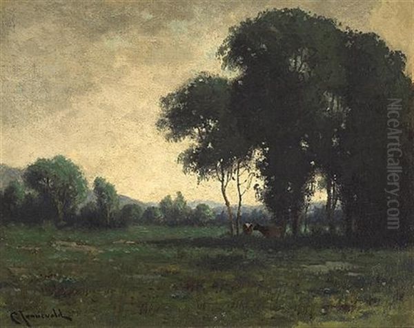 Cattle Grazing In An Evening Landscape - view 1