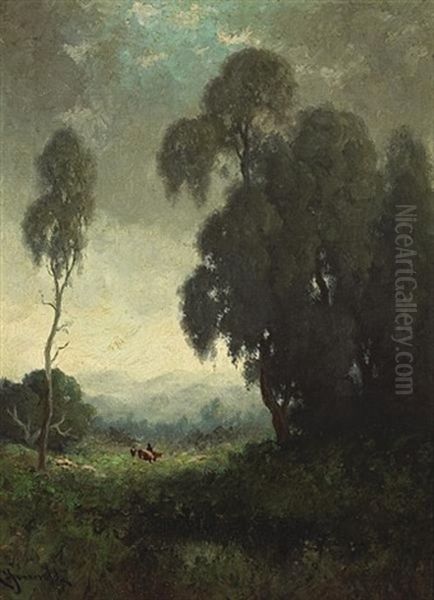 Trees At Twilight - view 1