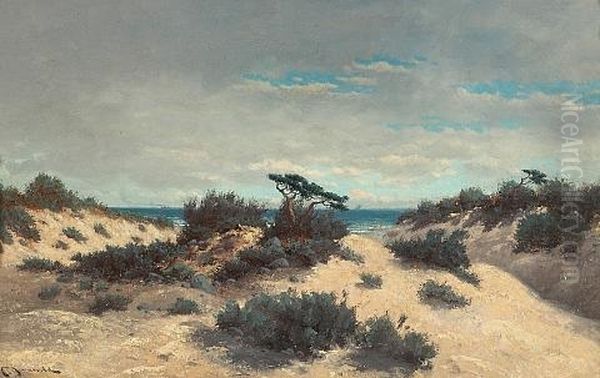 Sand Dunes In The Clearing Storm - view 1