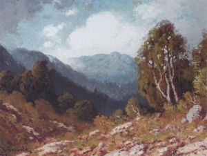Marin Landscape, Sunny Day by Carl Henrik Jonnevold