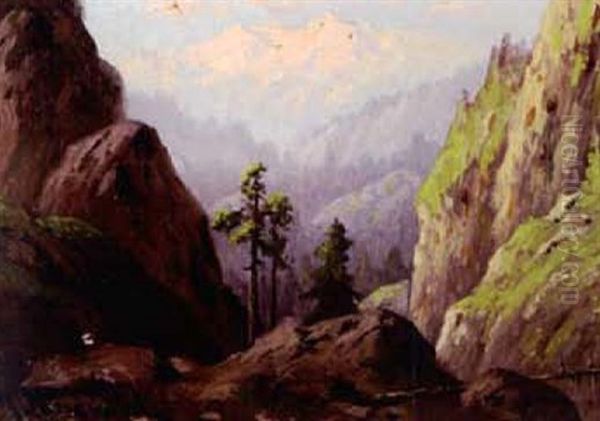 In The California Sierras - view 1