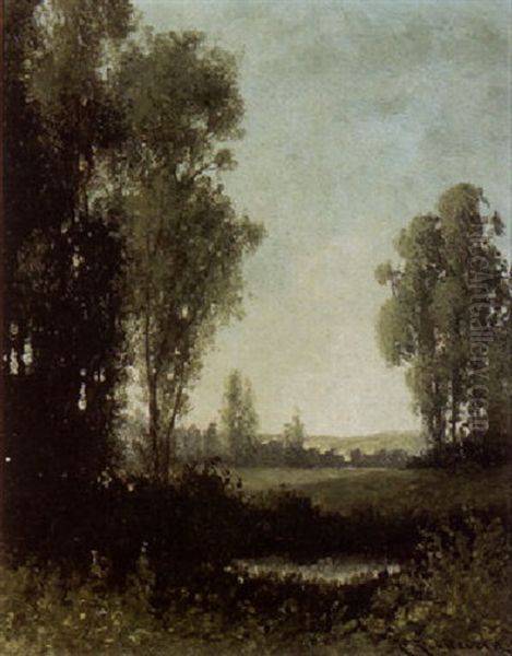 A Forest Pool With Meadows And Hills Beyond - view 1