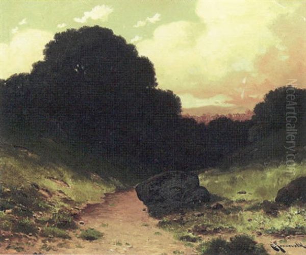 Path Through The Woods - view 1