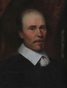Portrait D'un Homme Noble by Cornelis Jonson Van Ceulen