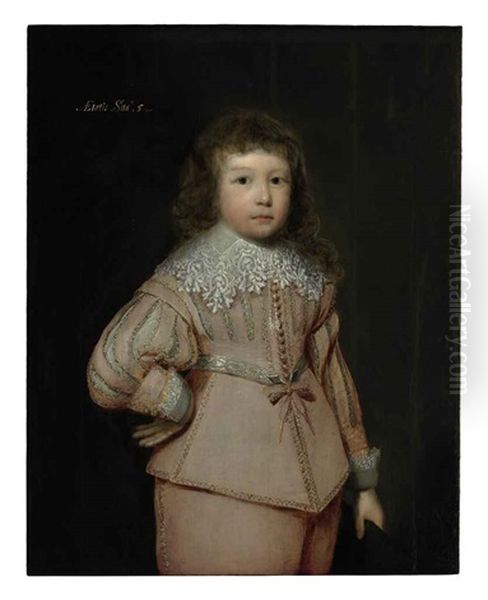 Portrait Of A Young Boy (lucius Cary, 3rd Viscount Falkland?) - view 1