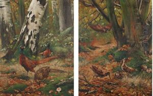 Faisans Et Becasses Au Bois (pair) by Eugene Joors