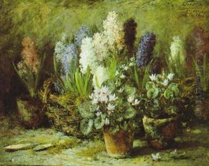 Blumenstilleben Mit Hyazinthen Und Zyklamen