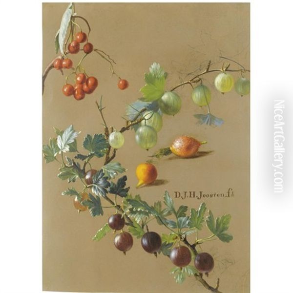 Gooseberries, Currants And Rosehips (study) - view 1