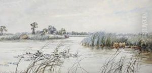 South Walsham Dyke, Norfolk by Stephen John Batchelder