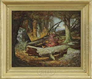 A Squirrel's World by Frederick Stone Batcheller