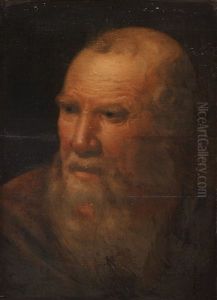 The Head Of A Bearded Man,