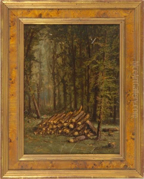 Forest Landscape With Stacked Wood - view 1