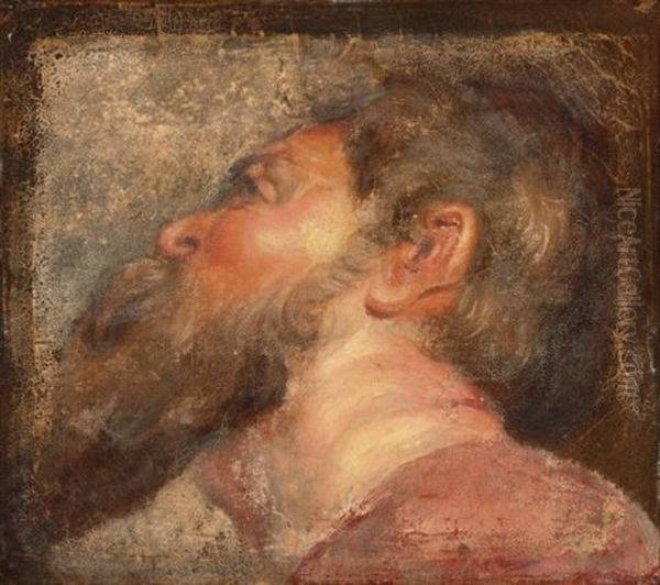 Study Of A Bearded Man - view 1