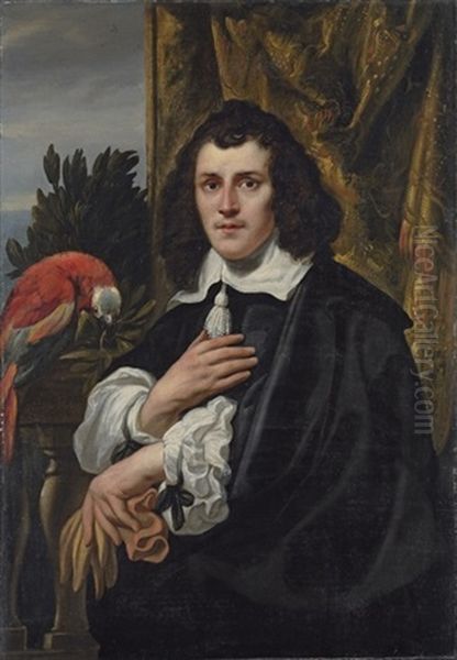 Portrait Of A Young Man In Black Doublet And Cloak With White Collar And Sleeves, Holding A Pair Of Gloves - view 1