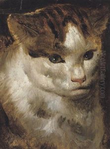 Cat (study) by Jacob Jordaens