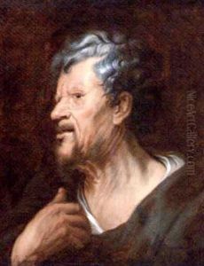 Study Of A Man by Jacob Jordaens