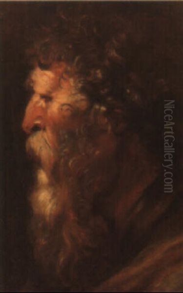 Head Of And Old Bearded Man - view 1