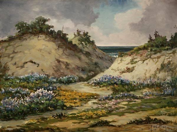 Asilomar Dune - view 1