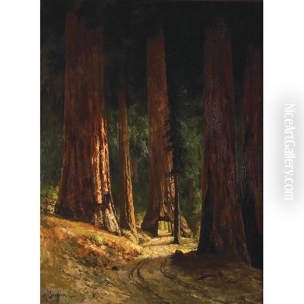 Tunnel Tree - view 1
