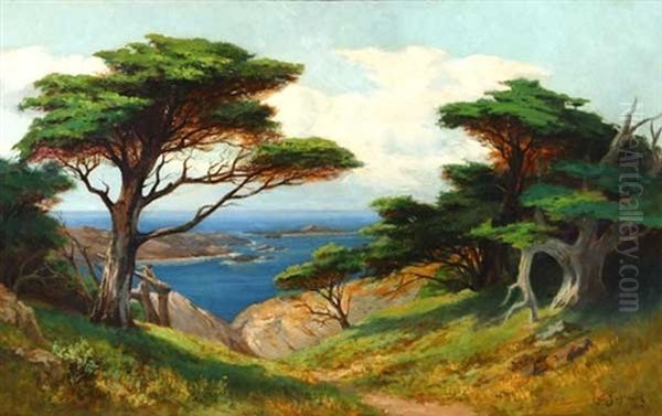 Cypress Near Blue Water, Point Lobos - view 1