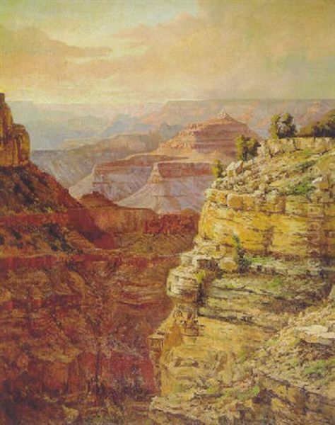 Majestic View Into The Grand Canyon - view 1