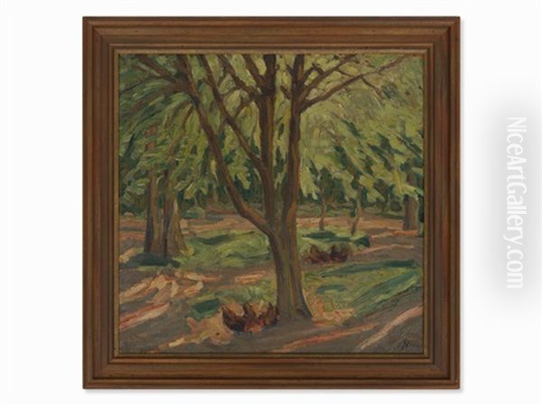 Forest Landscape - view 1