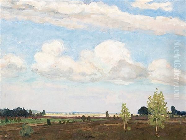 In The Luneburg Heath - view 1