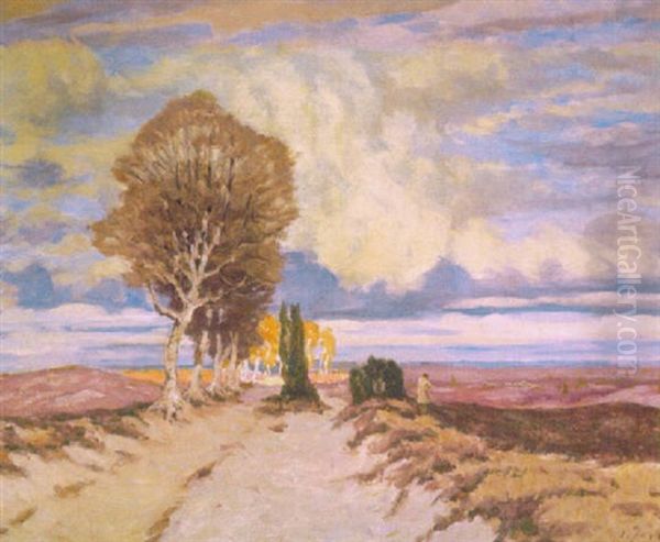 Birkenweg In Der Heide Unter Hohem Himmelsausschnitt - view 1