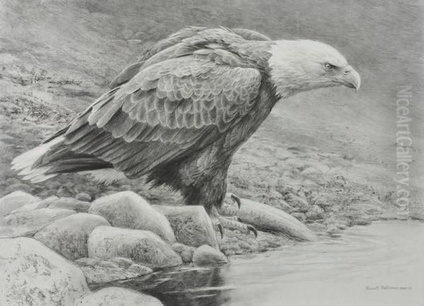 Bald Eagle - view 1