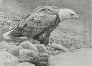 Bald Eagle by Robert Bateman