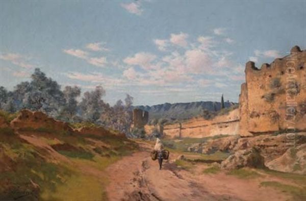 L'anier Pres Des Remparts, Tlemcen, Algerie - view 1