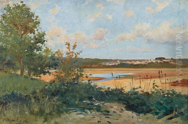 Flussuferpartie Mit Stadt - view 1