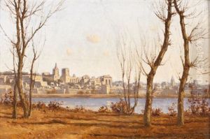 Vue D'avignon, Depuis L'ile De La Barthelasse