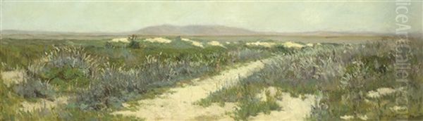 Alameda Marshes - view 1
