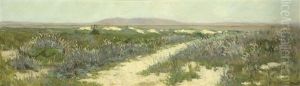 Alameda Marshes by Amedee Joullin