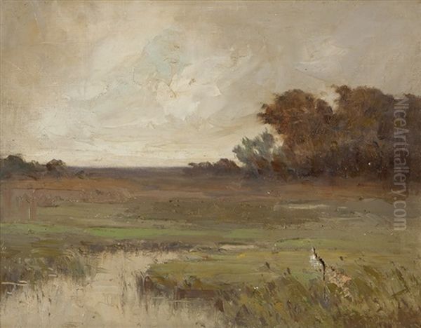 Corte Madera Marsh, Marin County - view 1