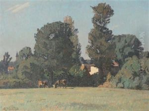 Paturage Au Pied Des Arbres