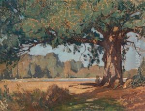 L'arbre Au Dessus De L'etang