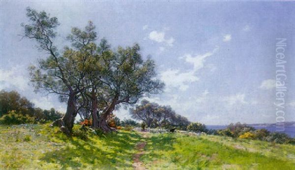 The Wandering Path - view 1