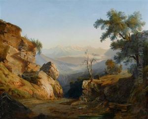 Weite Alpenlandschaft Mit Einem Hirten Und Einem Wanderer