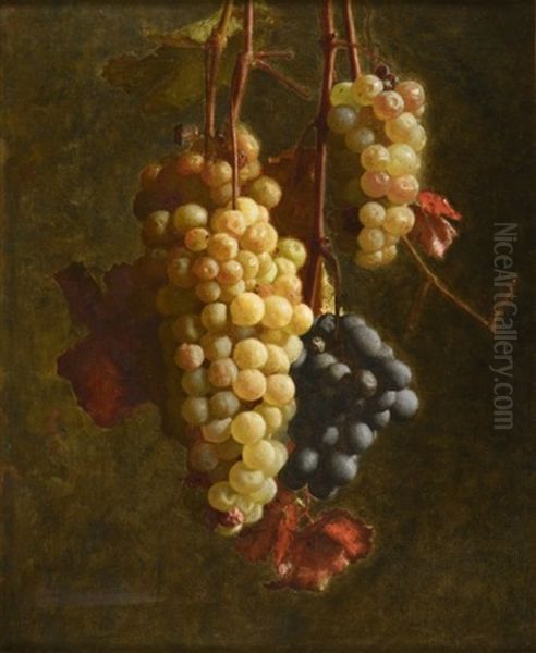 Raisins Rouges Et Raisins Blanc - view 1
