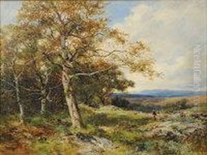 At Capel Curig, North Wales by David Bates