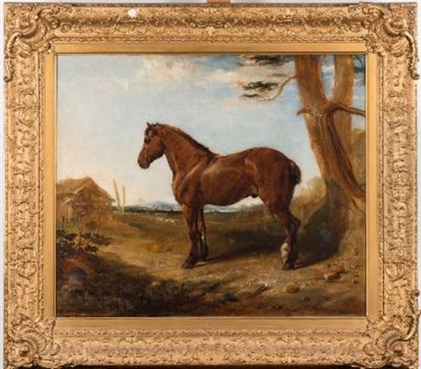 Bay Hunter Resting By A Pine Tree, Barns And Landscape Beyond - view 1