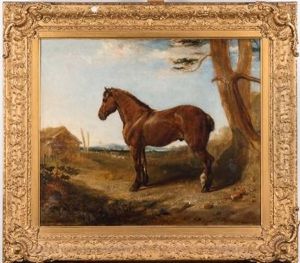 Bay Hunter Resting By A Pine Tree, Barns And Landscape Beyond