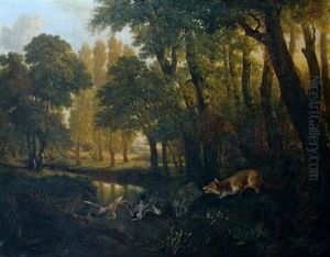 Colverts Surpris Par Un Renard
