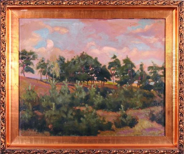 Mlodnik - view 1